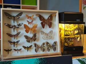 IMG_20210326_111823